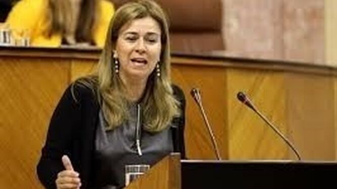 La ex parlamentaria gaditana Teresa Ruiz Sillero.