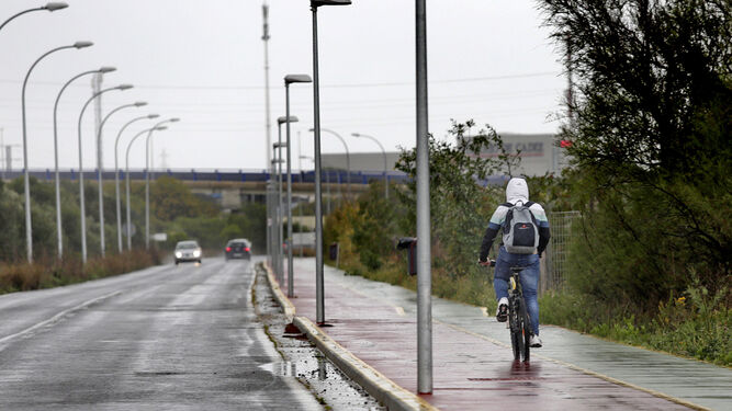 Un ciclista en el campus de Río San Pedro, que el plan prevé unir con Cádiz con un carril bici por el Puente Carranza.