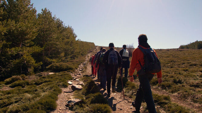 Un grupo de senderistas aficionados realiza una caminata liderada por un experto en la zona de Sierra Nevada.