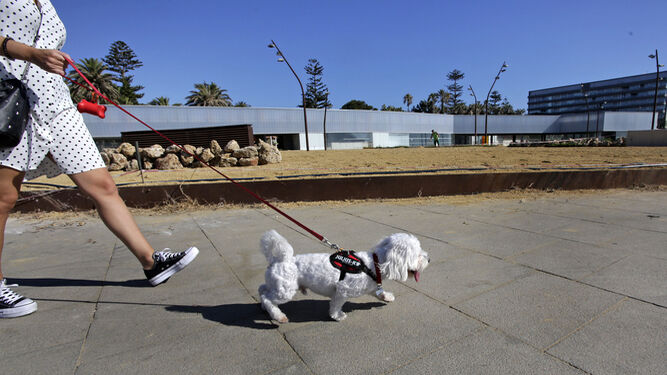 Una ciudadana paseando junto a su mascota frente al parterre donde se instalará el parque para perros.