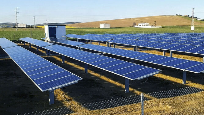 Planta de placas fotovoltaicas ya en funcionamiento en Marchena.
