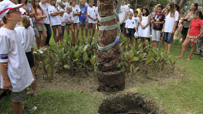 El Árbol de la Vida plantado por los niños bielorrusos en el verano de 2011.