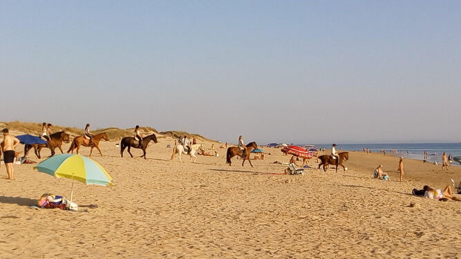 Un grupo de turistas se adentra a caballo en la playa de El Palmar, en una imagen tomada el pasado 23 de agosto.