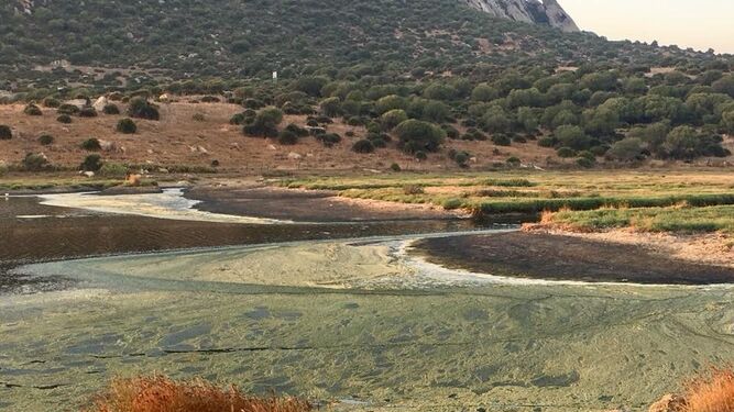 El río Cachón, en Zahara de los Atunes, en una imagen tomada hace unos días.