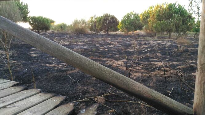 El incendio ha afectado a la zona verde y la pasarela de madera de Jaramar.