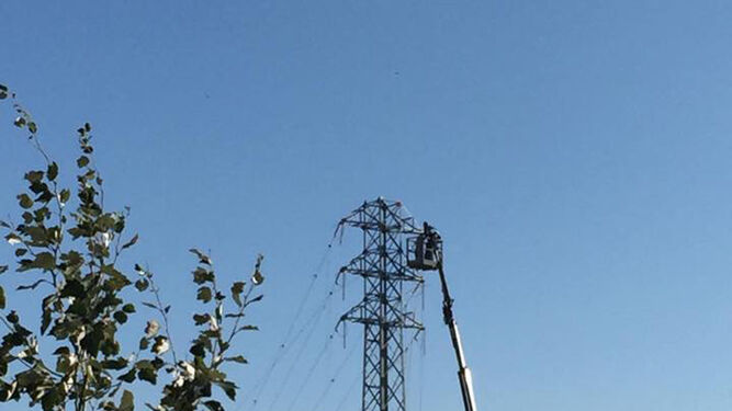 Operarios de la compañía eléctrica colocan los cables en una de las torres.