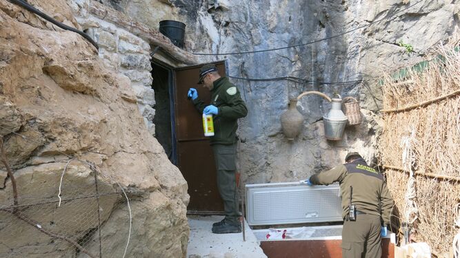 Agentes de la Brigada de Investigación contra el Veneno inspeccionan un cuarto de aperos.