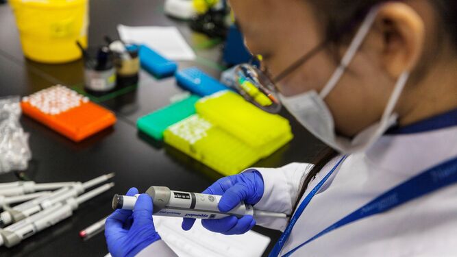 Una científica trabaja en el laboratorio de investigación de ADN en la localidad china de Nanjing.