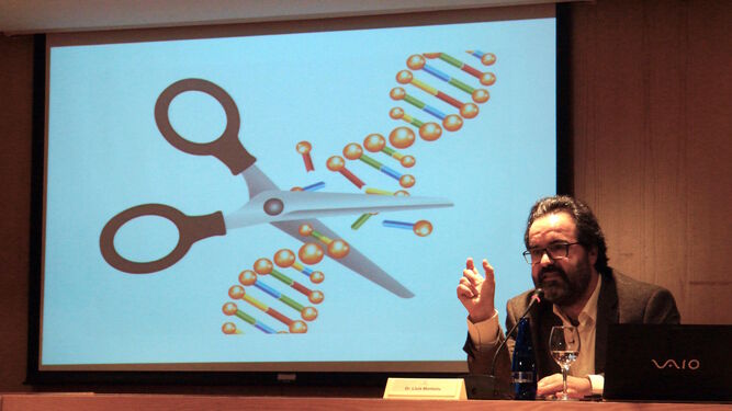Lluís Montoliu, durante una sesión de Encuentros con la Ciencia celebrado el pasado año.