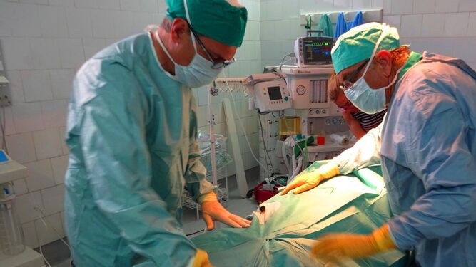 Un cirujano taurino, en los momentos previos a una intervención quirúrgica.