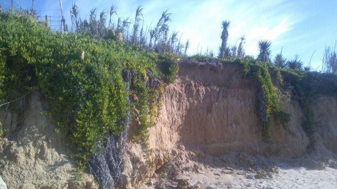 Una de las zonas afectadas en el litoral de Chipiona.