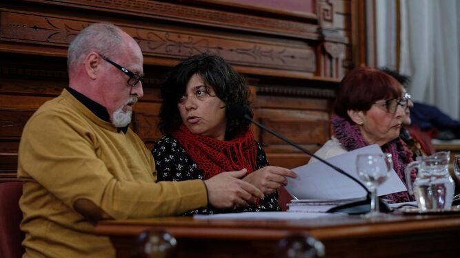 Los concejales de IU Carmen Álvarez y Fernando Cabral, en un pleno municipal.