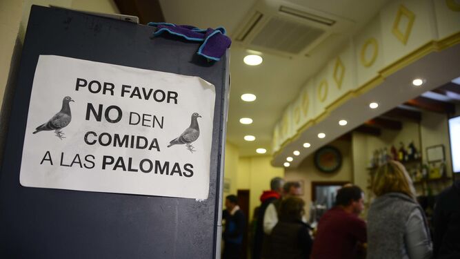 Cartel que han tenido que colocar en un bar de Cádiz donde las palomas se cuelan hasta el comedor.