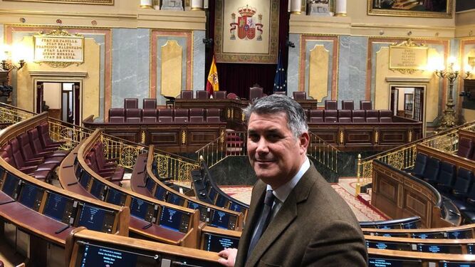 Ignacio Romaní, en el Congreso de los Diputados este martes.
