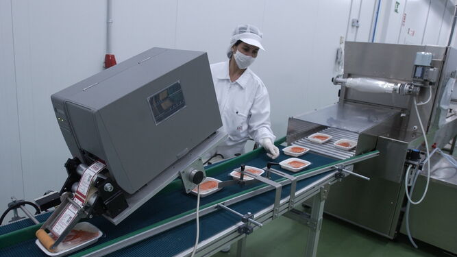 Imagen de una máquina de envasado de Quality Food cuando la empresa estaba operativa.
