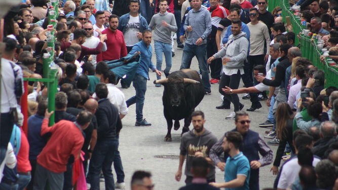 El toro del Aleluya de Paterna.