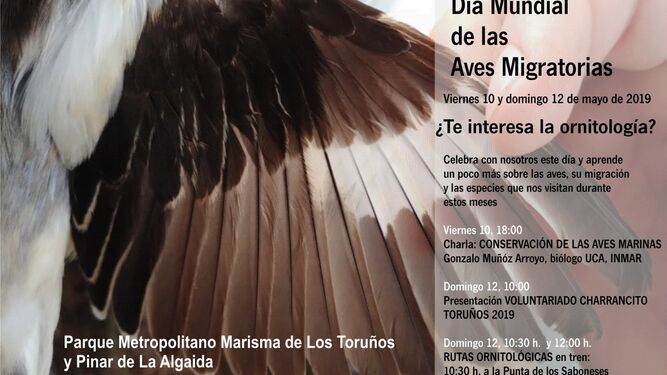 Los Toruños celebrará del 10 al 12 de mayo el Día de las Aves Migratorias.