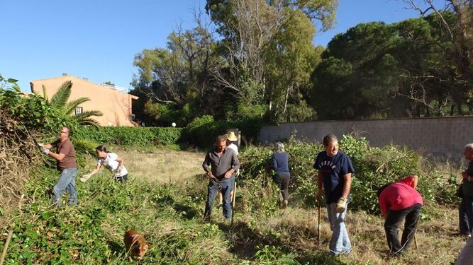 Los ecologistas, trabajando en la parcela municipal donde preparan los nuevos huertos.