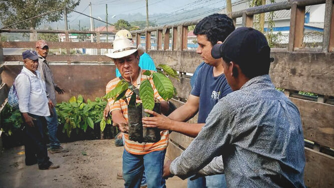 Una explotación en Honduras