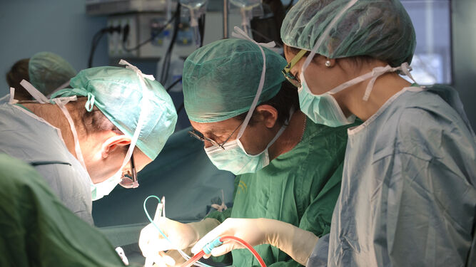 Un equipo de profesionales sanitarios realiza un trasplante.