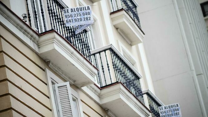 Carteles de 'Se alquila' en un edificio de Cádiz.
