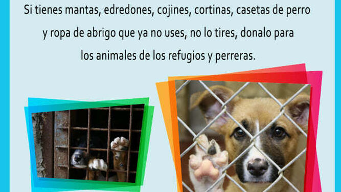 Uprocanes pone en marcha la VI Campaña Solidaria de Recogida de mantas para las protectoras de animales
