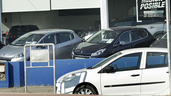 Automóviles en el exterior de un concesionario de la provincia de Cádiz.