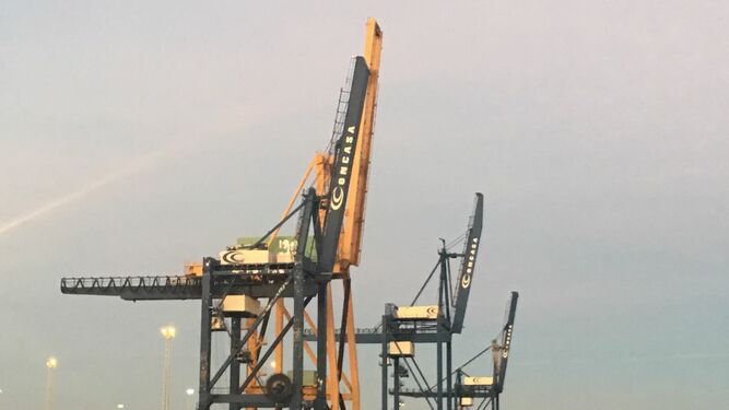 Las cuatro grúas de la terminal de contenedores del Muelle Reina Sofía mirando al cielo.