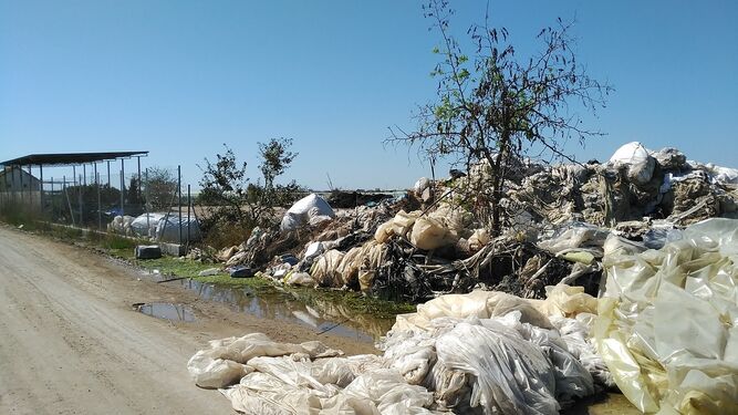 Residuos agrícolas en la valla perimetral de la planta de La Algaida.