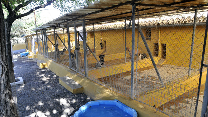 Centro de Animales Abandonados y Perdidos de Villamart&iacute;n.