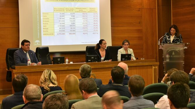 La consejera, Carmen Crespo, presentó el aforo de aceite en Jaén.