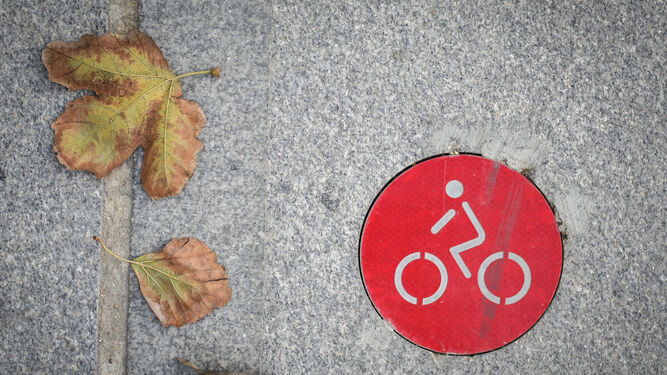 Ésta es la señalización del carril bici en la calle Fernando el Católico junto a las murallas de Cádiz.