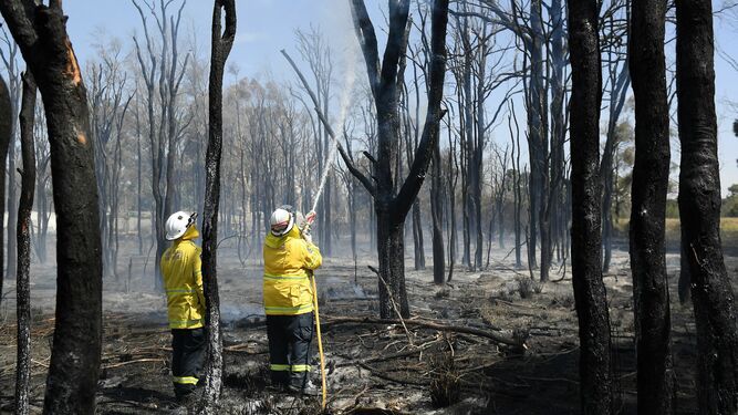 Los brutales efectos de los incendios en Australia