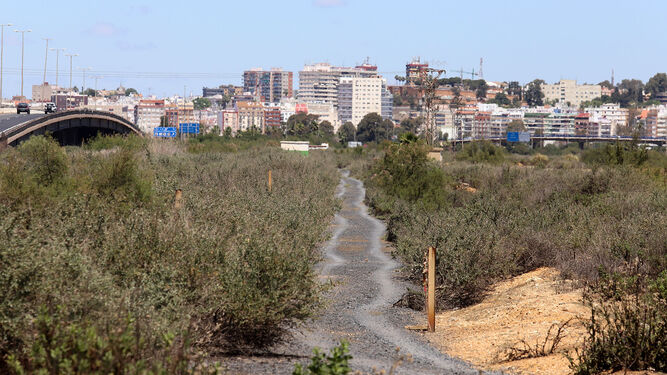 Zona donde Alter Enersun proyecta el mayor parque fotovoltaico de la provincia de Huelva.