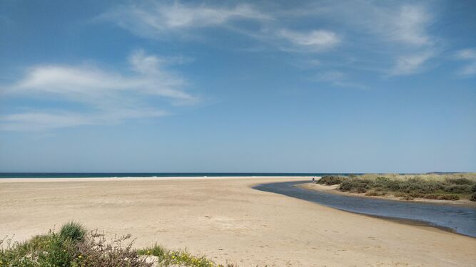 Imagen de la playa de El Palmar, en Vejer.