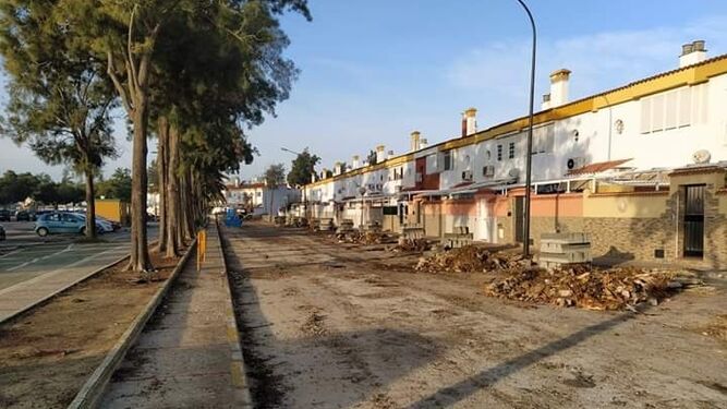 A la derecha la hilera de árboles que se han eliminado de la calle Francisco Ruiz Miguel.