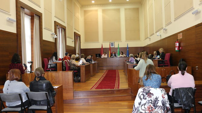 Un momento del Consejo de las Mujeres celebrado en el Salón de Plenos.