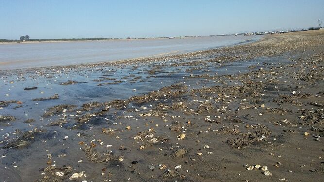 El PP pone de ejemplo "el gran vertido de aguas residuales que sufrieron las playas a finales de enero".