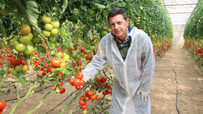 Semana del Tomate en el CED de Rijk Zwaan