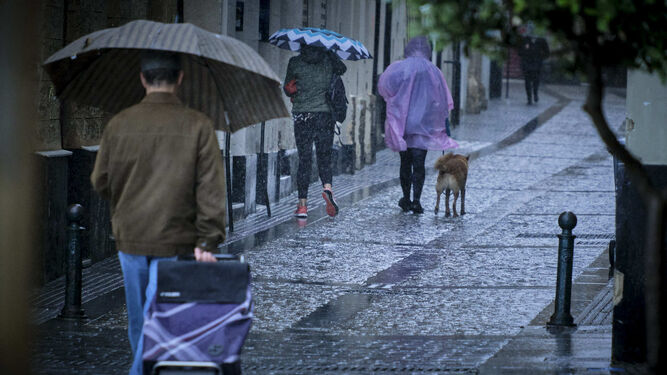 De compras y paseando al perro bajo la lluvia por la calle Sopranis
