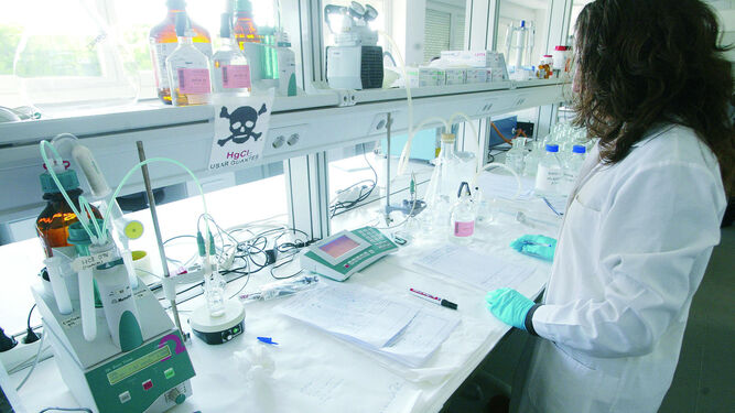 Una investigadora analiza unas muestras en el laboratorio.