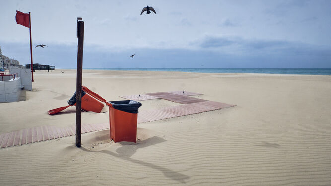 La desierta playa de La Victoria tomada por las aves