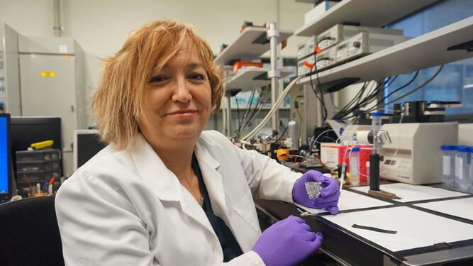 La investigadora gaditana Laura Lechuga, en su laboratorio.