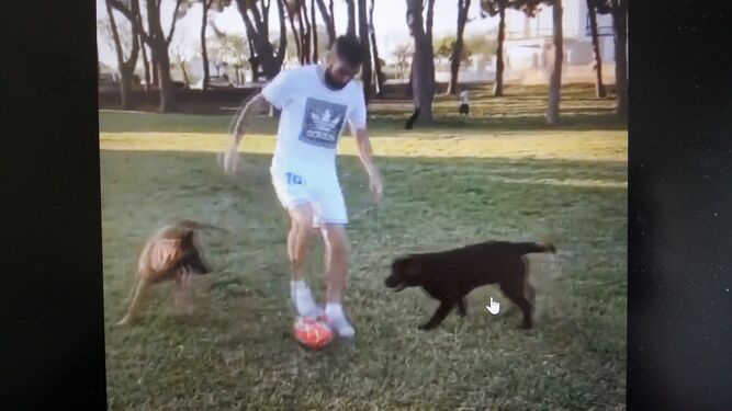 Alberto Perea, con el balón entre dos perros