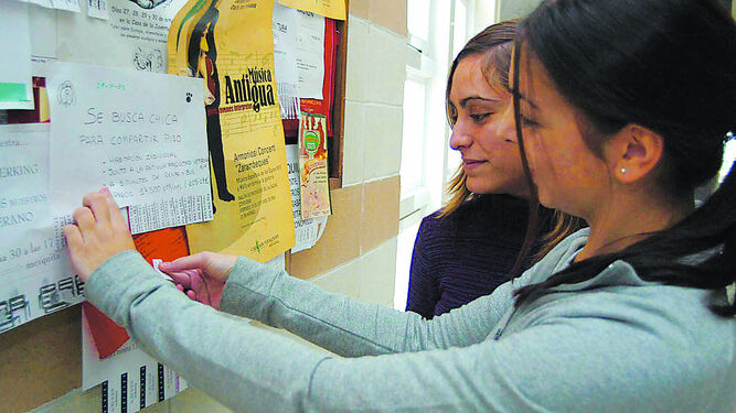 Alumnas ante un tablón con anuncios de alquileres de pisos en una facultad universitaria.