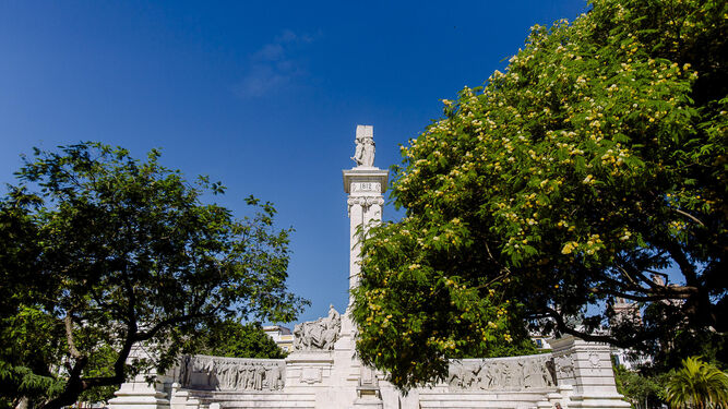 Dos del número indeterminado de árboles que se retirarán del frontal del Monumento a Las Cortes de Cádiz.
