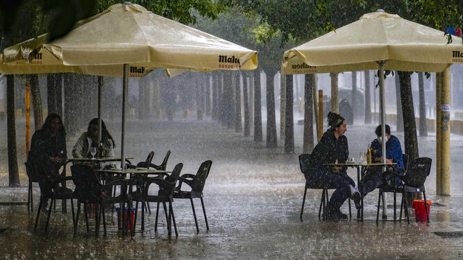 Terrazas y lluvia en la Alameda de Sevilla.
