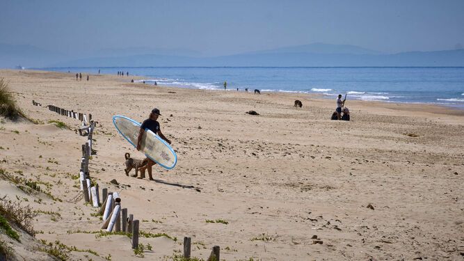 Playas de Vejer. Un surfista y sus perros en la playa de El Palmar.