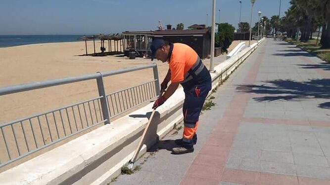Trabajos municipales en estos días previos a la apertura de las playas de Chipiona al baño.