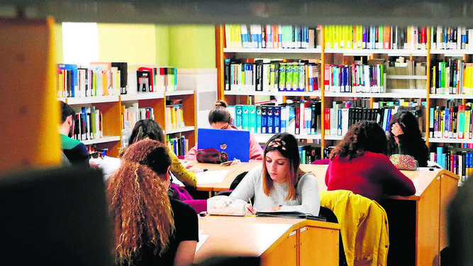 Universitarios estudiando en una biblioteca.